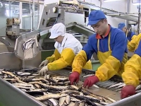 Экс-директора рыбокомбината "Островной" судят за невыплату зарплаты на 3 млн руб.