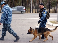 Федерального судью объявили в розыск по делу о взятке за оправдательный приговор