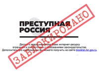 Роскомнадзор заблокировал "Преступную Россию"