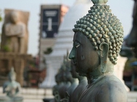 Суд Элисты арестовал осквернившего статую Будды борца