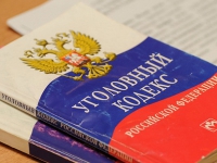 ГД выступила за ввод уголовной ответственности за подлог доказательств по административным делам