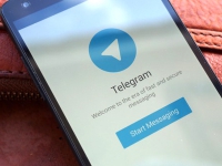 Автоюристы создали в Telegram бот для борьбы со страховщиками